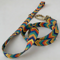 Festival Leash