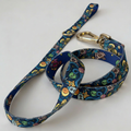 Galaxy Leash