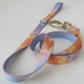 Aurora Leash