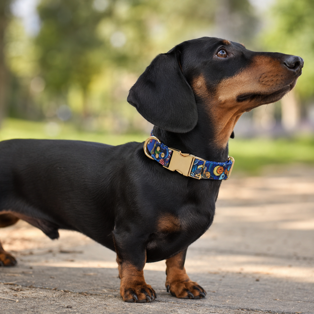 Galaxy Collar
