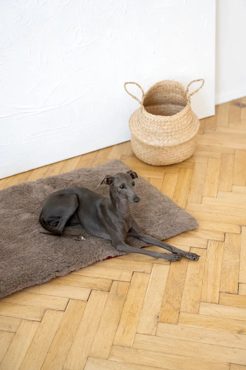 Natural Wool Pet Mat - Beige