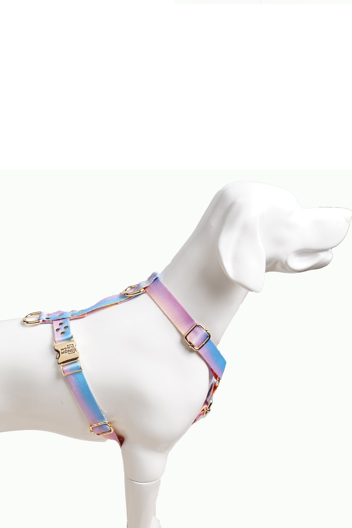 Aurora Harness