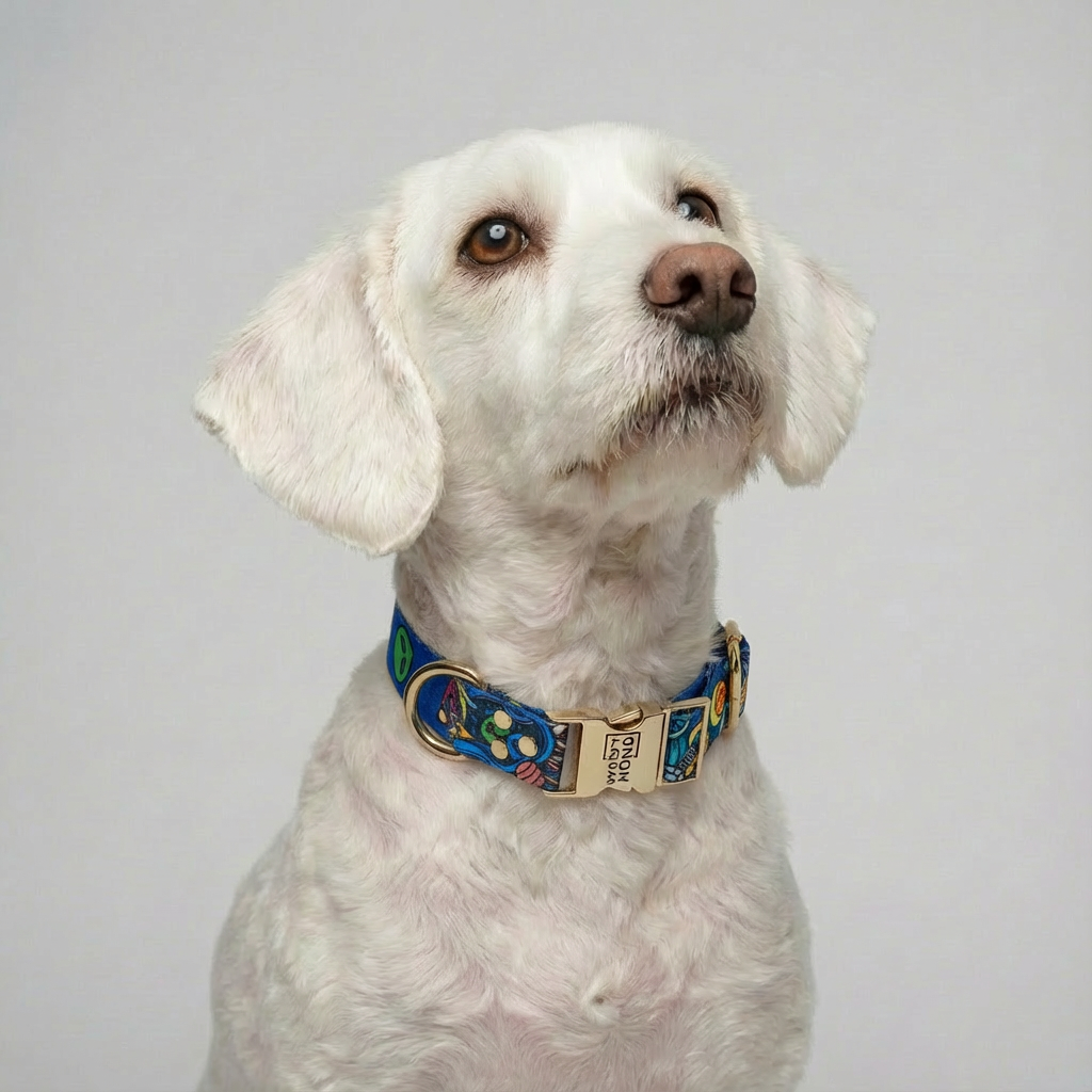Galaxy Collar