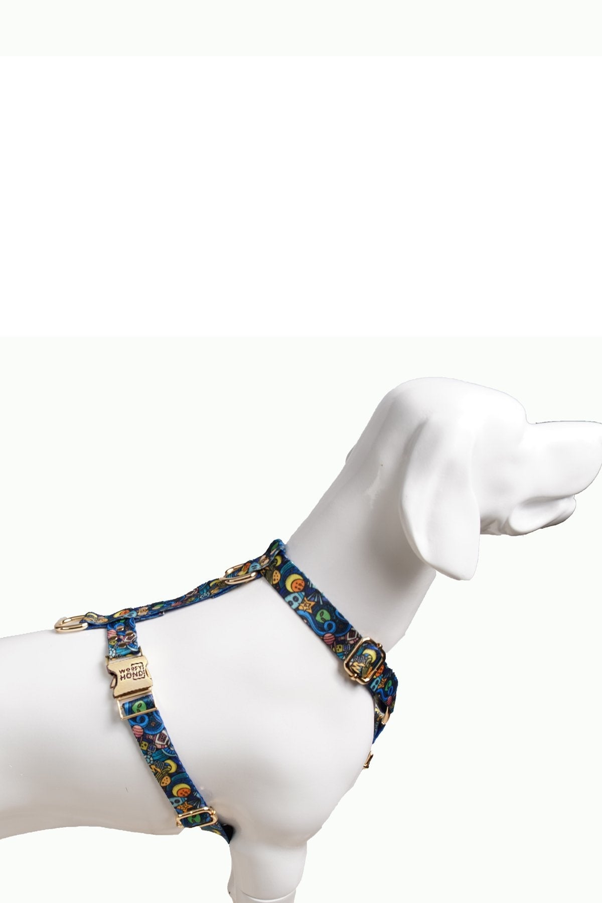 Galaxy Harness